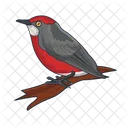 Bird Animal Pigeon Icon