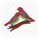 Bird Animal Pigeon Icon