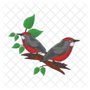 Bird Animal Pigeon 아이콘