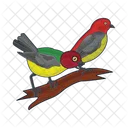 Bird Animal Pigeon Icon