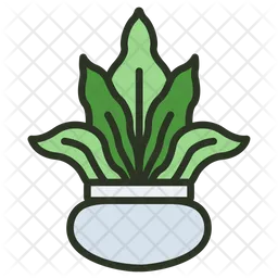 Bird Nest Fern  Icon