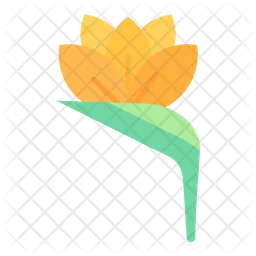 Bird Of Paradise  Icon