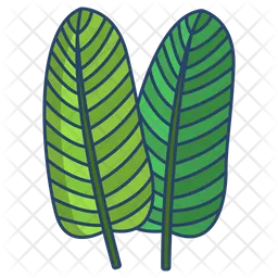 Bird Of Paradise Leaf  Icon