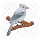 Bird Animal Nature Icon
