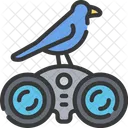 Bird Watching Birds Icon