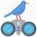 Bird Watching Birds Icon