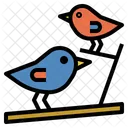 Birds  Icon