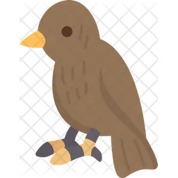 Birds  Icon