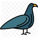 Birds Dove Animal Icon