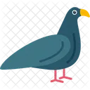 새 비둘기 동물 아이콘