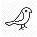 Birds  Icon
