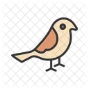 Birds Nature Bird Icon