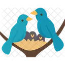 Birds  Symbol