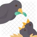 Birds  Symbol