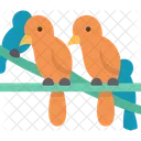 Birds  Symbol