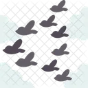 Birds  Symbol
