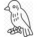 Birds  Symbol