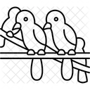 Birds  Symbol