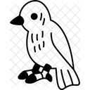 Birds  Symbol