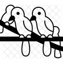 Birds  Symbol