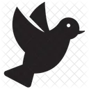 Birds  Icon