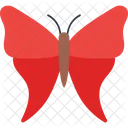 Birdwing Butterfly  Icon