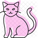 Birman Cat Scottishfold Cat Icon