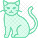 Birman Cat Scottishfold Cat Icon