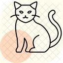 Birman Cat Birmancat Cat Icon