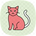 Birman cat  Icon