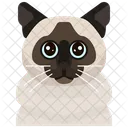 Birman Cat  Icon