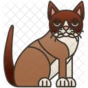 Birman  Icon