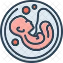Birth Foetuses Fetuses Icon