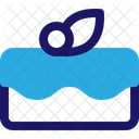 Birthday Cake  Icon