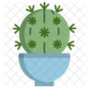 Bishops Cap Cactus Cactus Pot Cactus Plant Icon