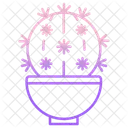Bishops Cap Cactus  Icon