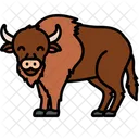 Bison American Bison Bovine Icon