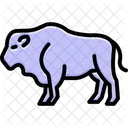 Bison Mammal Buffalo Icon