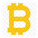 Bitcoin Coin Currency Icon