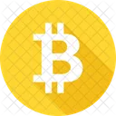 Bitcoin Cash Currency Icon