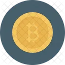 Bitcoin Money Payment Icon