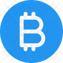 Bitcoin Currency Icon