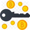 Bitcoin Access Bitcoin Encryption Bitcoin Security Icon