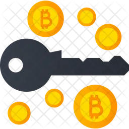 Bitcoin Access  Icon