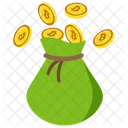 Bitcoin Bag  Icon