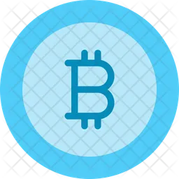 Bitcoin coin  Icon