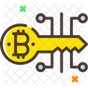 Digital Key Bitcoin Digital Key Bitcoin Icon