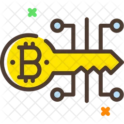 Bitcoin Digital Key  Icon