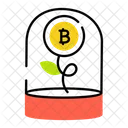 Bitcoin Farm Bitcoin Plant Bitcoin Growth Icône