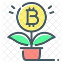 Bitcoin Grow  Icon